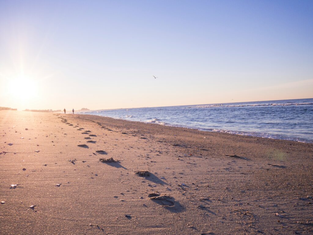 aaron-burden-qRa-M34_wkk-unsplash